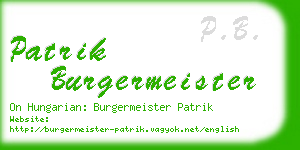 patrik burgermeister business card